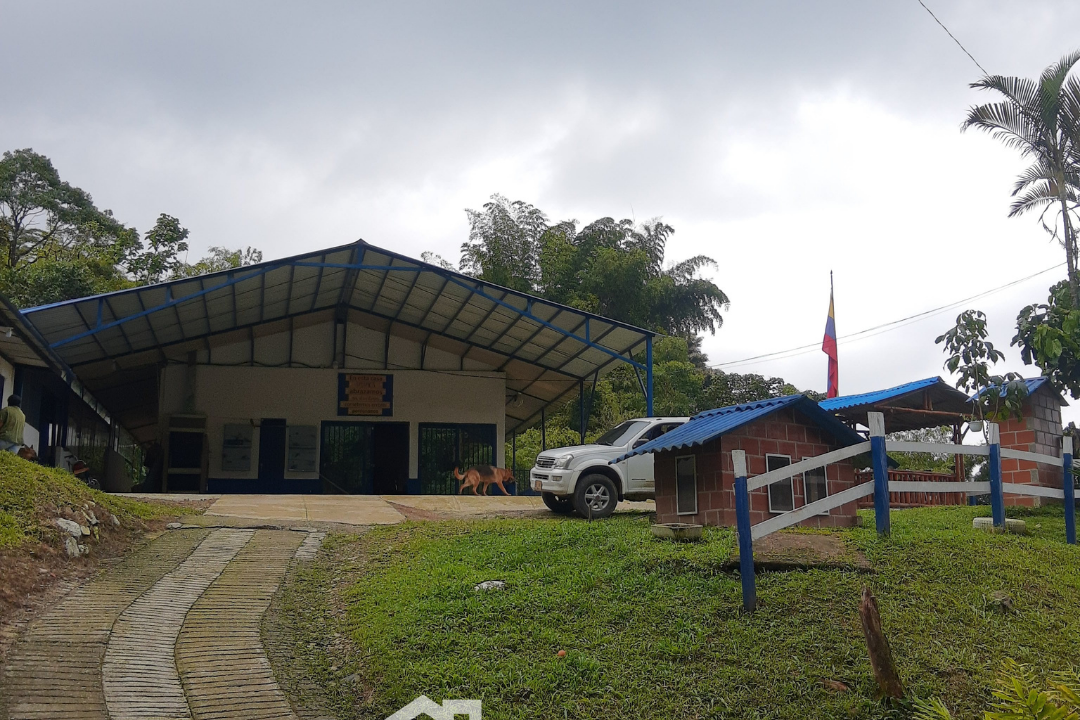 Finca en Vena en Colombia, eje cafetero, dosquebradas, en permuta (18)