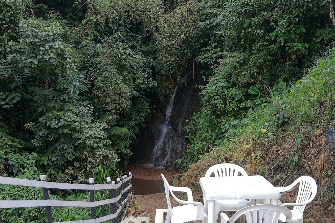 Finca en Vena en Colombia, eje cafetero, dosquebradas, en permuta (19)