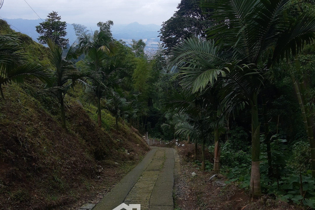 Finca en Vena en Colombia, eje cafetero, dosquebradas, en permuta (20)