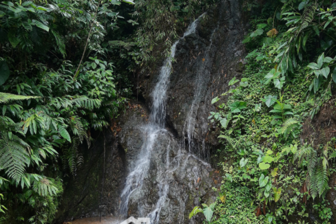 Finca en permuta