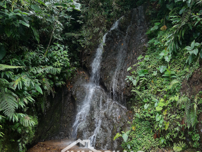 Finca en permuta